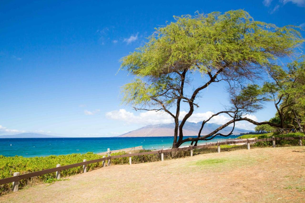 Hale Kamaole 176 Villa Wailea  Exterior photo